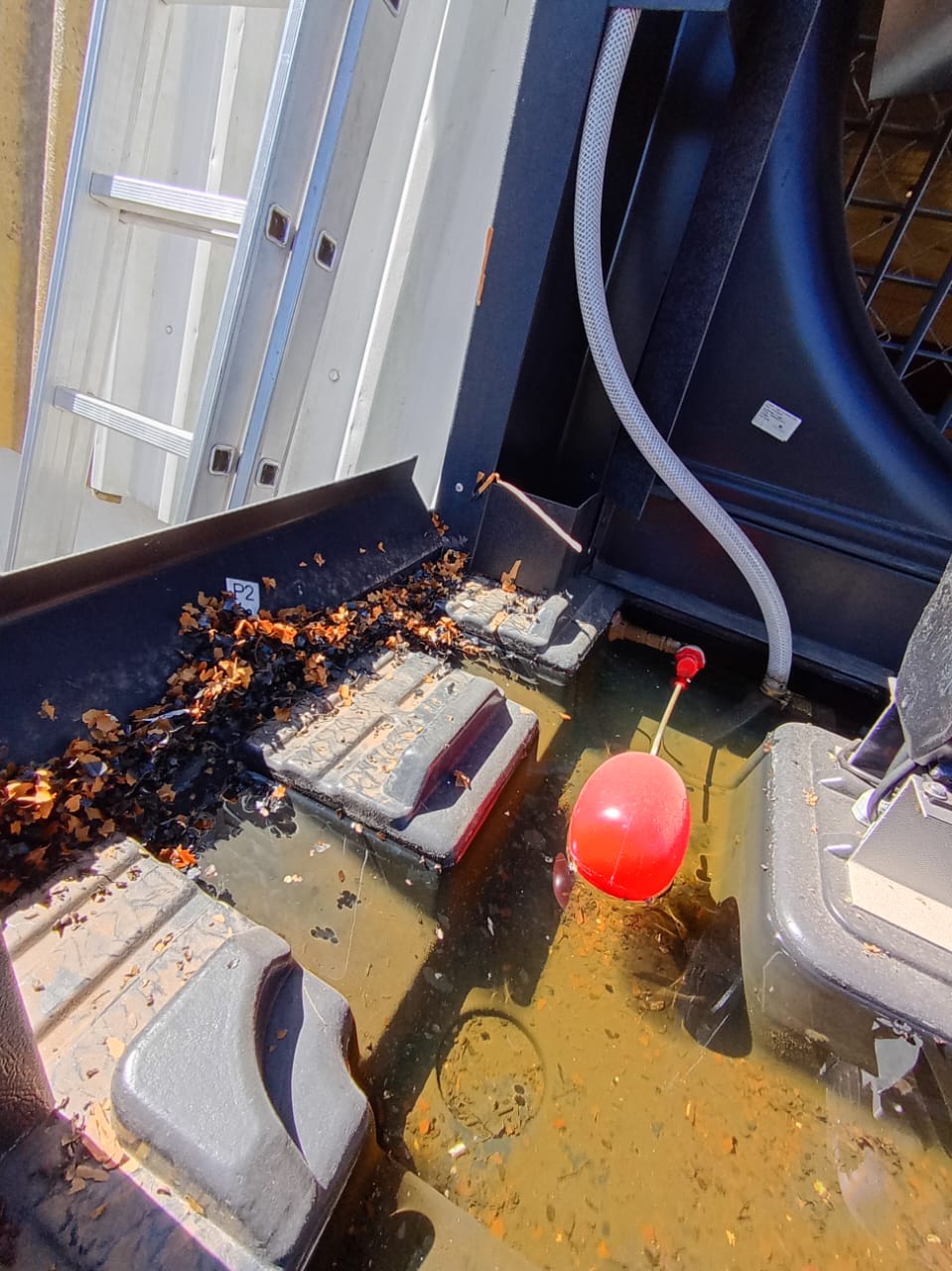 WhatsApp Image 2025-10-15 at 17.48.05 (1)