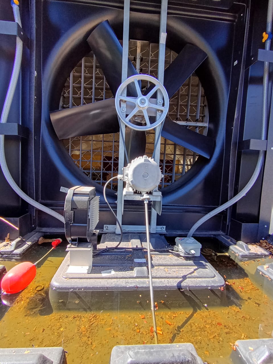 WhatsApp Image 2025-10-15 at 17.48.05 (2)