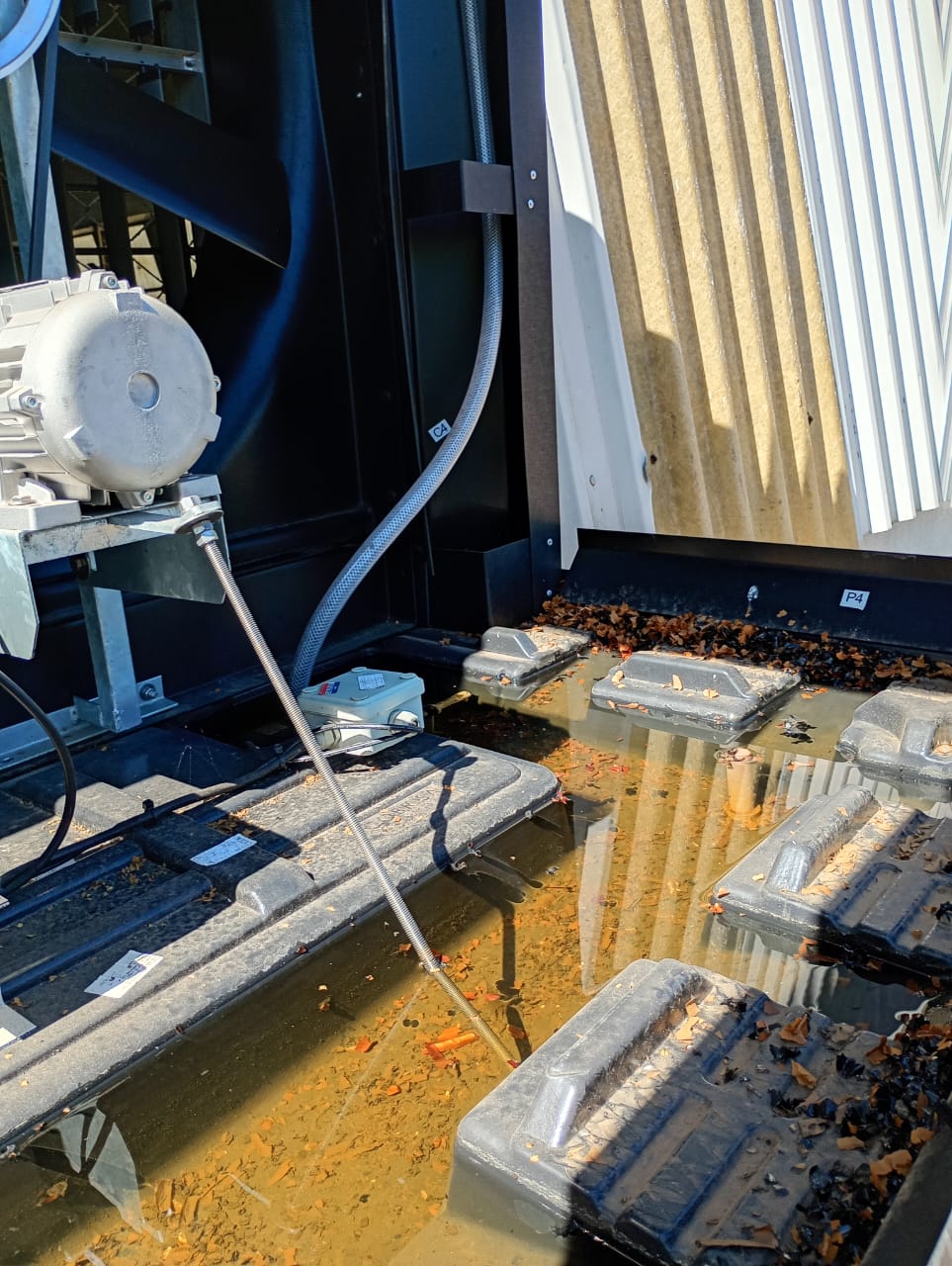 WhatsApp Image 2025-10-15 at 17.48.06 (1)