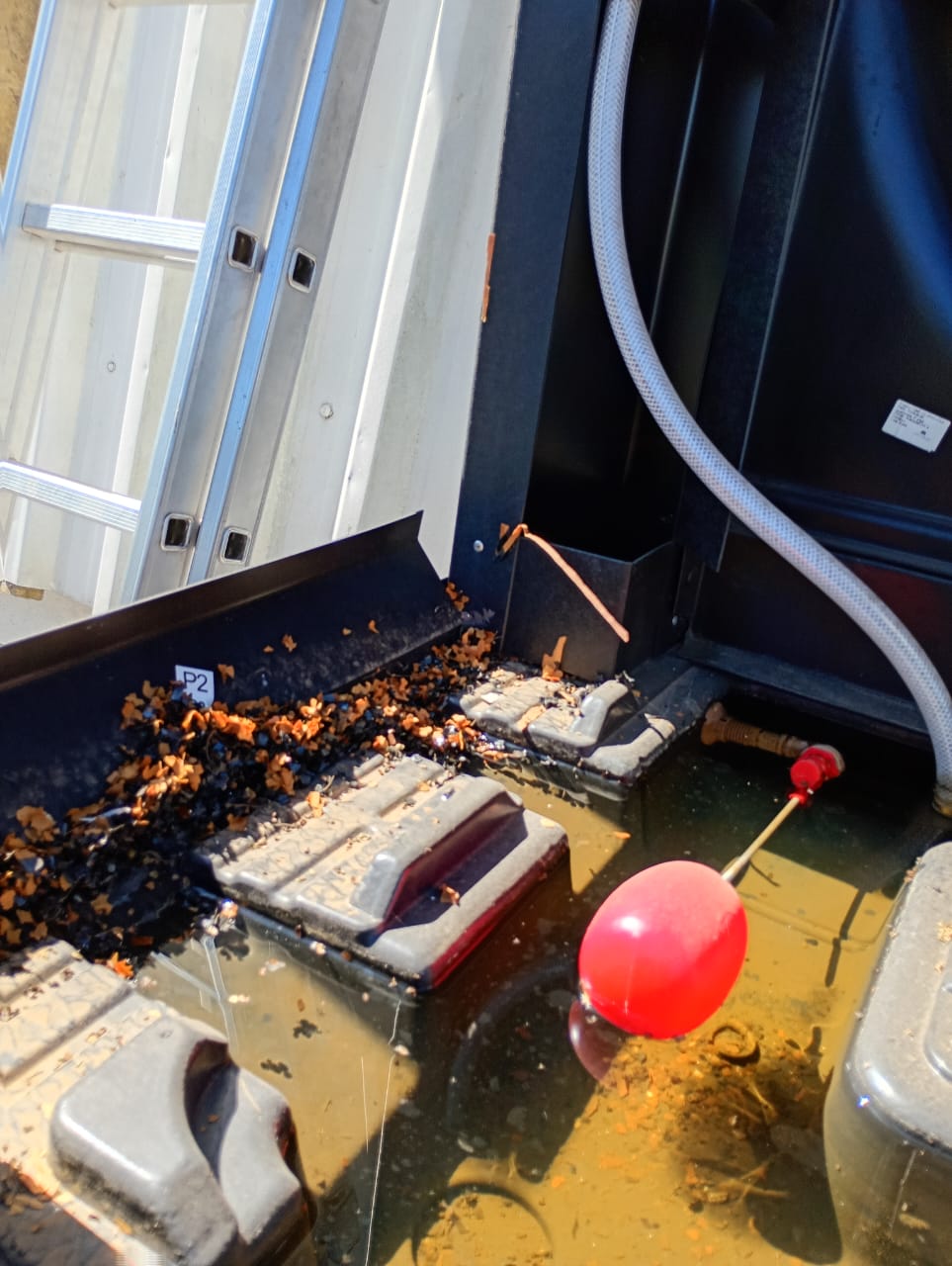 WhatsApp Image 2025-10-15 at 17.48.06